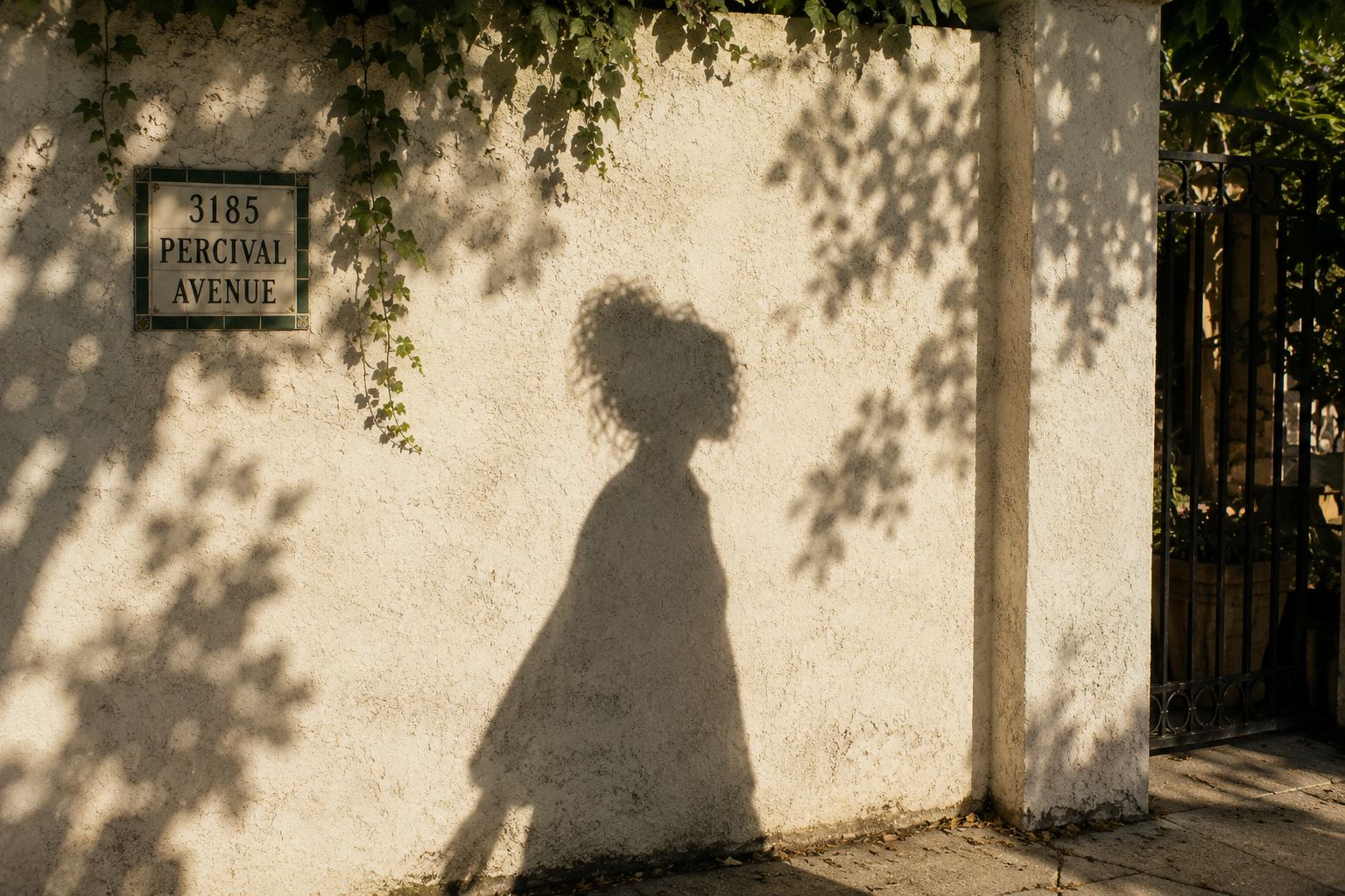 A shadow figure cast against a wall on Percival Avenue